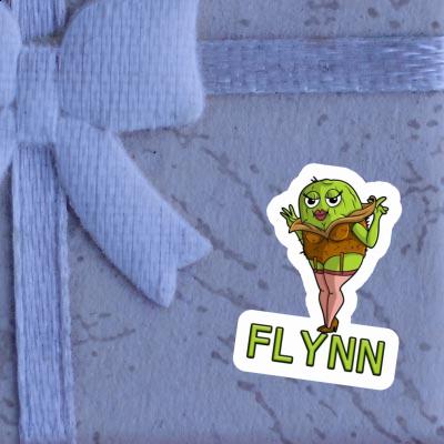 Aufkleber Kiwi Flynn Image