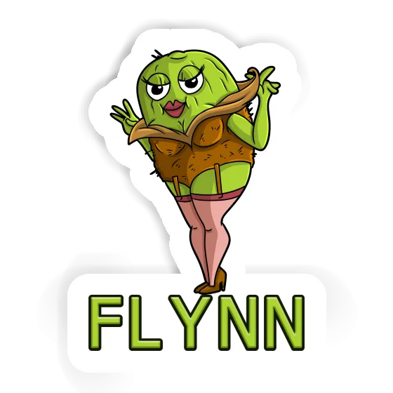Aufkleber Kiwi Flynn Notebook Image