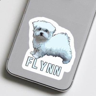 Autocollant Maltais Flynn Image
