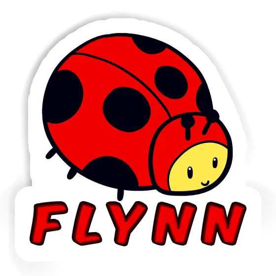 Marienkäfer Aufkleber Flynn Gift package Image