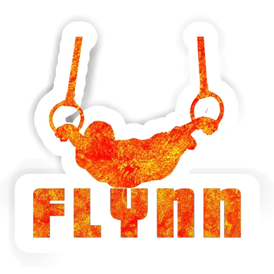 Flynn Sticker Ring gymnast Notebook Flynn Sticker Ring gymnast Gift package Image