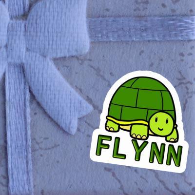 Autocollant Tortue Flynn Gift package Image