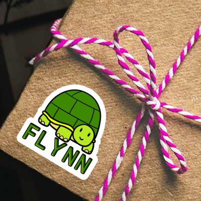 Schildkröte Aufkleber Flynn Gift package Image