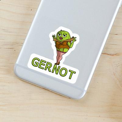 Aufkleber Kiwi Gernot Gift package Image
