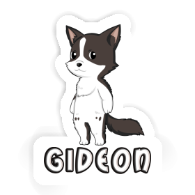 Autocollant Collie border Gideon Image