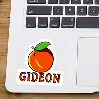 Apricot Sticker Gideon Notebook Apricot Sticker Gideon Gift package Image