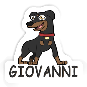 Pinscher Sticker Giovanni Image