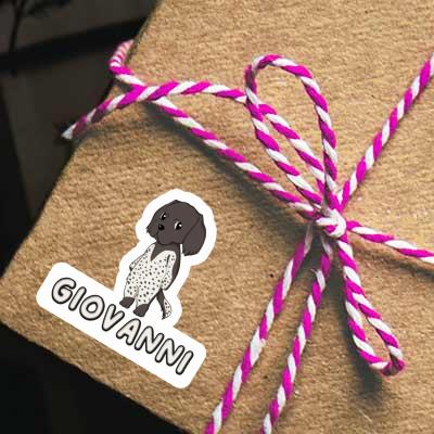 Sticker Giovanni Münsterländer Notebook Sticker Giovanni Münsterländer Gift package Image