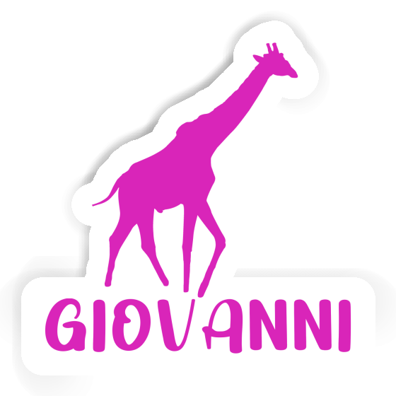 Giraffe Sticker Giovanni Gift package Image