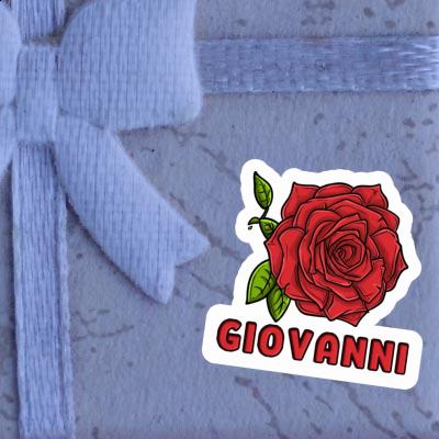 Autocollant Giovanni Fleur de rose Notebook Autocollant Giovanni Fleur de rose Gift package Image