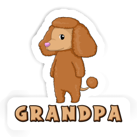 Autocollant Caniche Grandpa Image