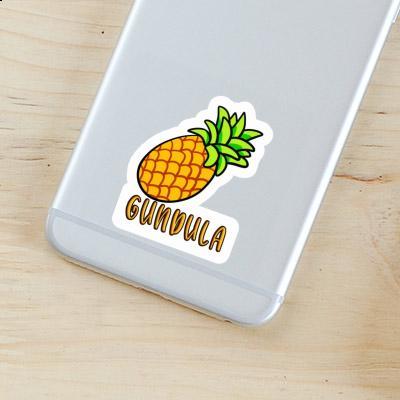 Gundula Sticker Ananas Laptop Image