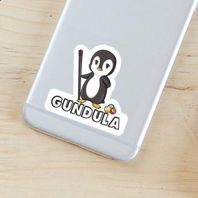 Sticker Billiards Player Gundula Notebook Image