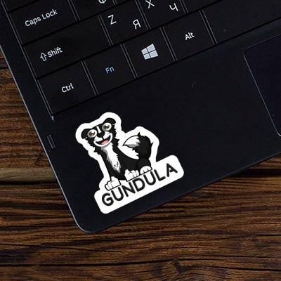 Sticker Border Collie Gundula Laptop Image