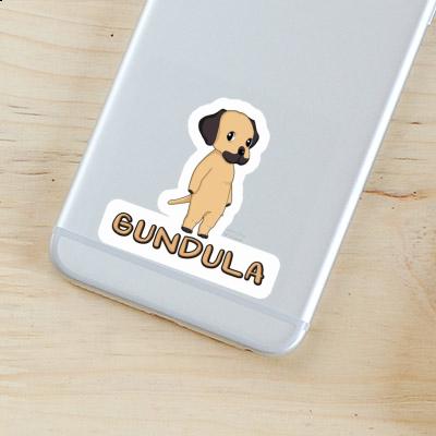 Sticker Gundula Rhodesian Ridgeback Gift package Image