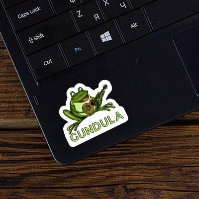 Sticker Gitarrenfrosch Gundula Notebook Image