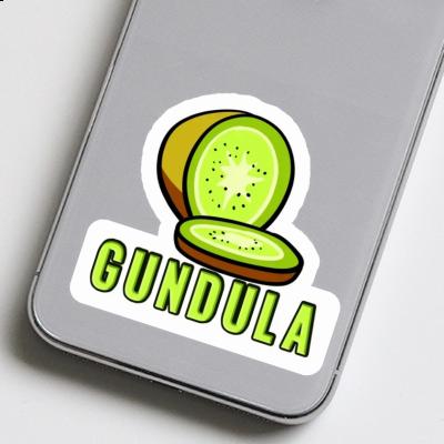 Gundula Sticker Kiwi Notebook Image