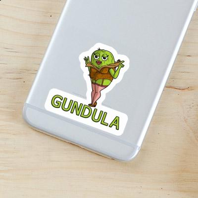 Sticker Gundula Kiwi Notebook Image