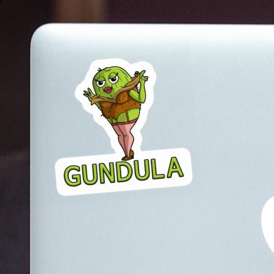 Sticker Gundula Kiwi Laptop Image