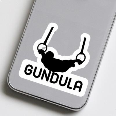 Ringturner Sticker Gundula Notebook Image