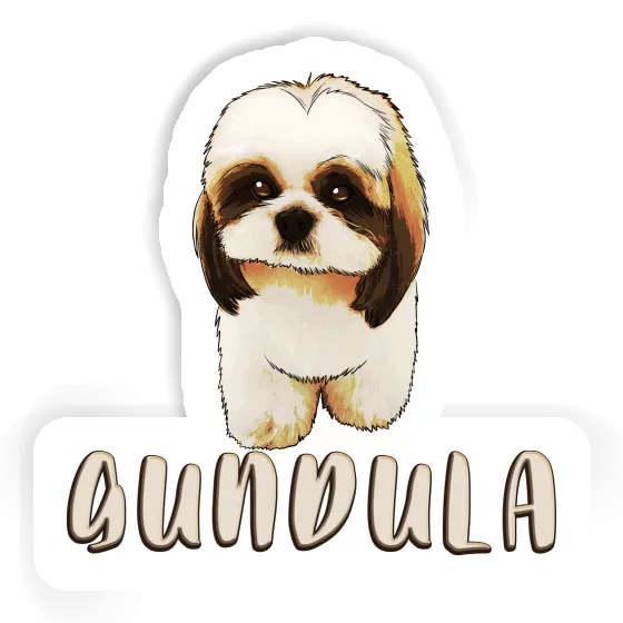 Autocollant Gundula Shih Tzu Gift package Image