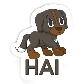 Aufkleber Berner Sennenhund Hai Image