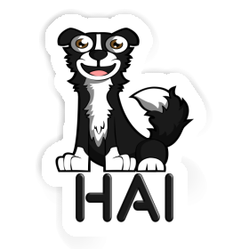 Sticker Border Collie Hai Image