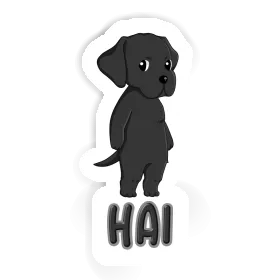 Hai Sticker Labrador Retriever Image