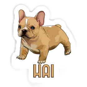 Sticker Französische Bulldogge Hai Image