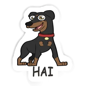 Aufkleber Pinscher Hai Image