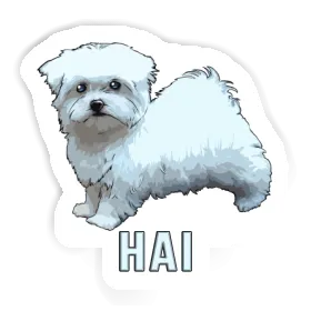 Aufkleber Hai Hündchen Image
