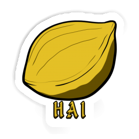 Nut Sticker Hai Image