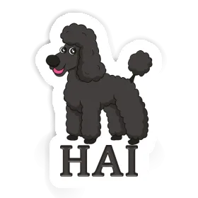 Hai Aufkleber Pudel Image