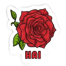 Hai Sticker Rose blossom Image