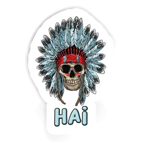 Sticker Indianer Totenkopf Hai Image