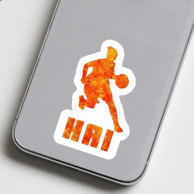 Sticker Hai Basketball Player Gift package Image