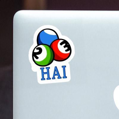 Sticker Billiard Ball Hai Notebook Sticker Billiard Ball Hai Gift package Image