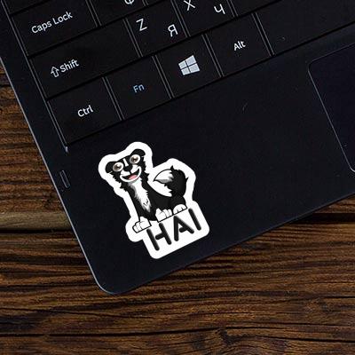 Sticker Border Collie Hai Gift package Image