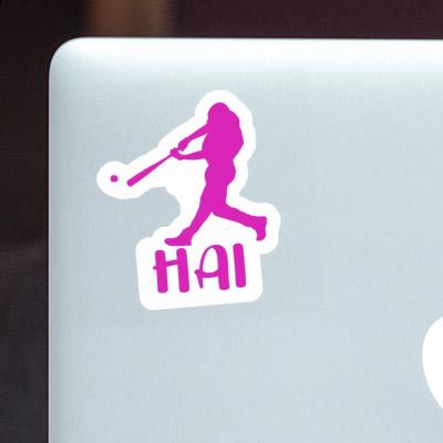 Baseball Player Sticker Hai Notebook Baseball Player Sticker Hai Gift package Image