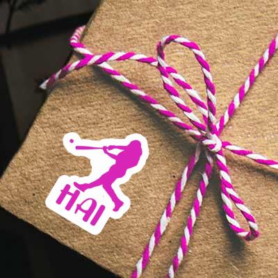 Baseballspieler Aufkleber Hai Gift package Image