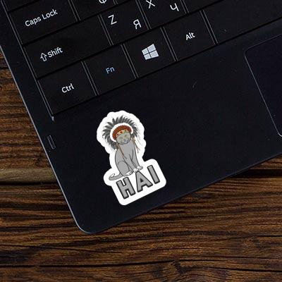 American Indian Sticker Hai Gift package Image