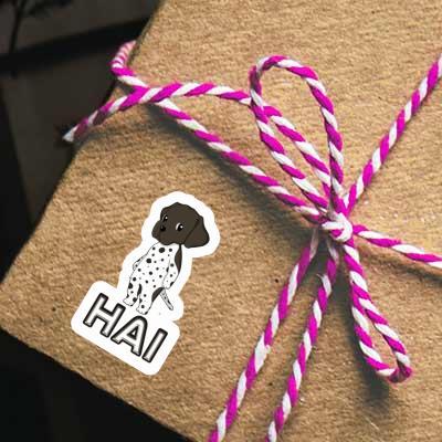 Autocollant Hai Braque Allemand Gift package Image