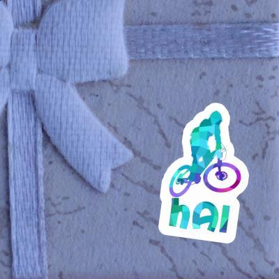 Aufkleber Downhiller Hai Gift package Image