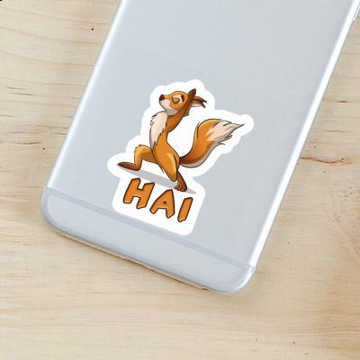 Sticker Hai Yoga Squirrel Gift package Image