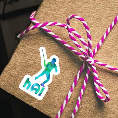 Escrimeur Autocollant Hai Notebook Escrimeur Autocollant Hai Gift package Image