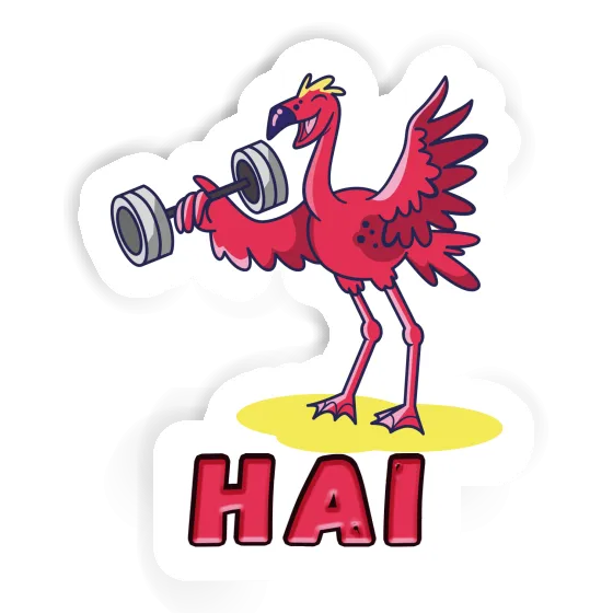 Hai Sticker Weight Lifter Gift package Image