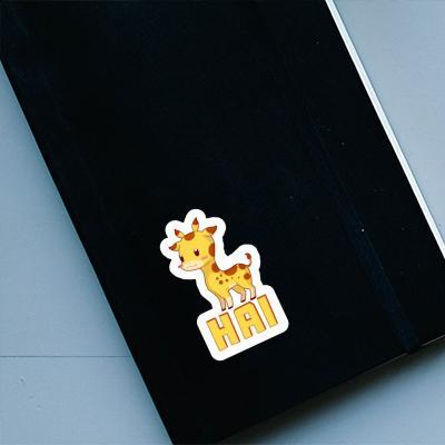 Aufkleber Giraffe Hai Gift package Image