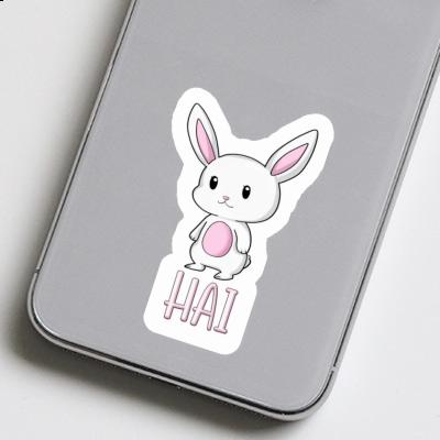 Sticker Rabbit Hai Gift package Image