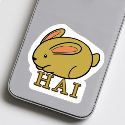 Autocollant Hai Lapin Gift package Image