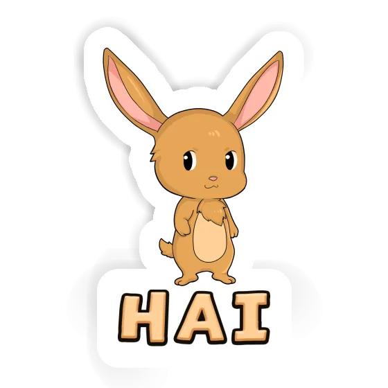 Autocollant Lapin de Pâques Hai Notebook Autocollant Lapin de Pâques Hai Gift package Image
